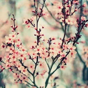 Meet your Posher, Trinity